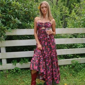 BNWT Vestique Thorns and Roses Dress